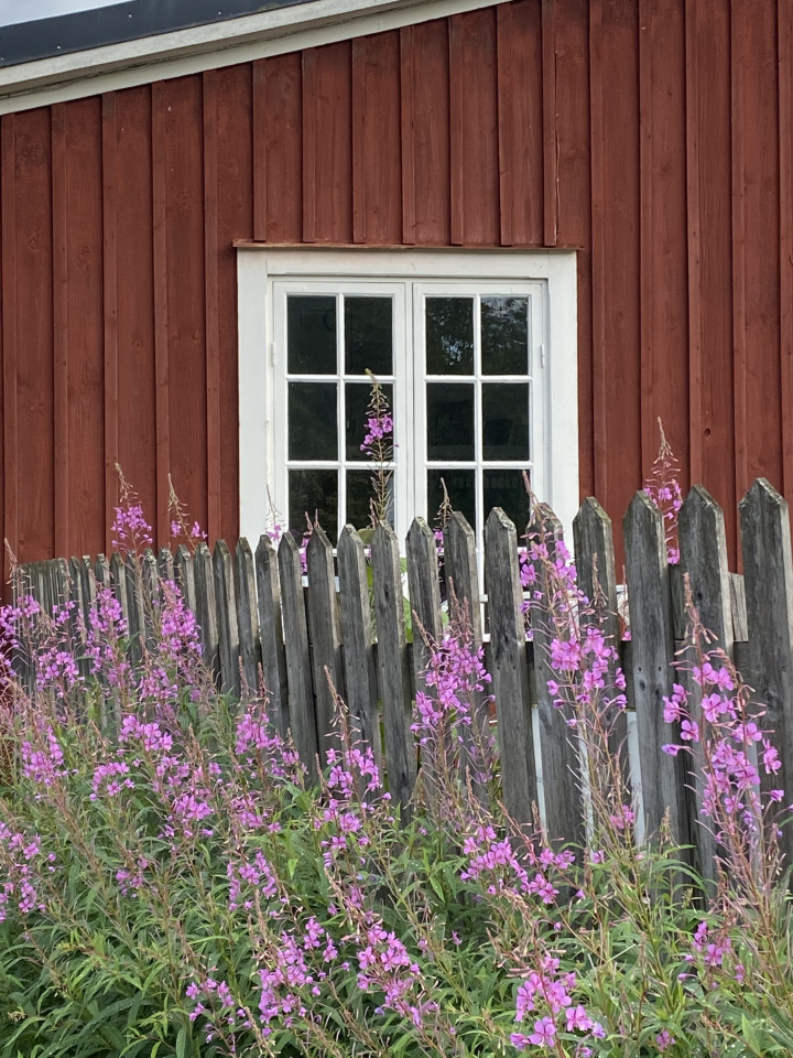 Foto rotes Schwedenhaus mit Blumen davor.