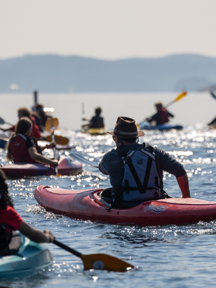 Nahaufnahme der Kajakgruppe im Wasser