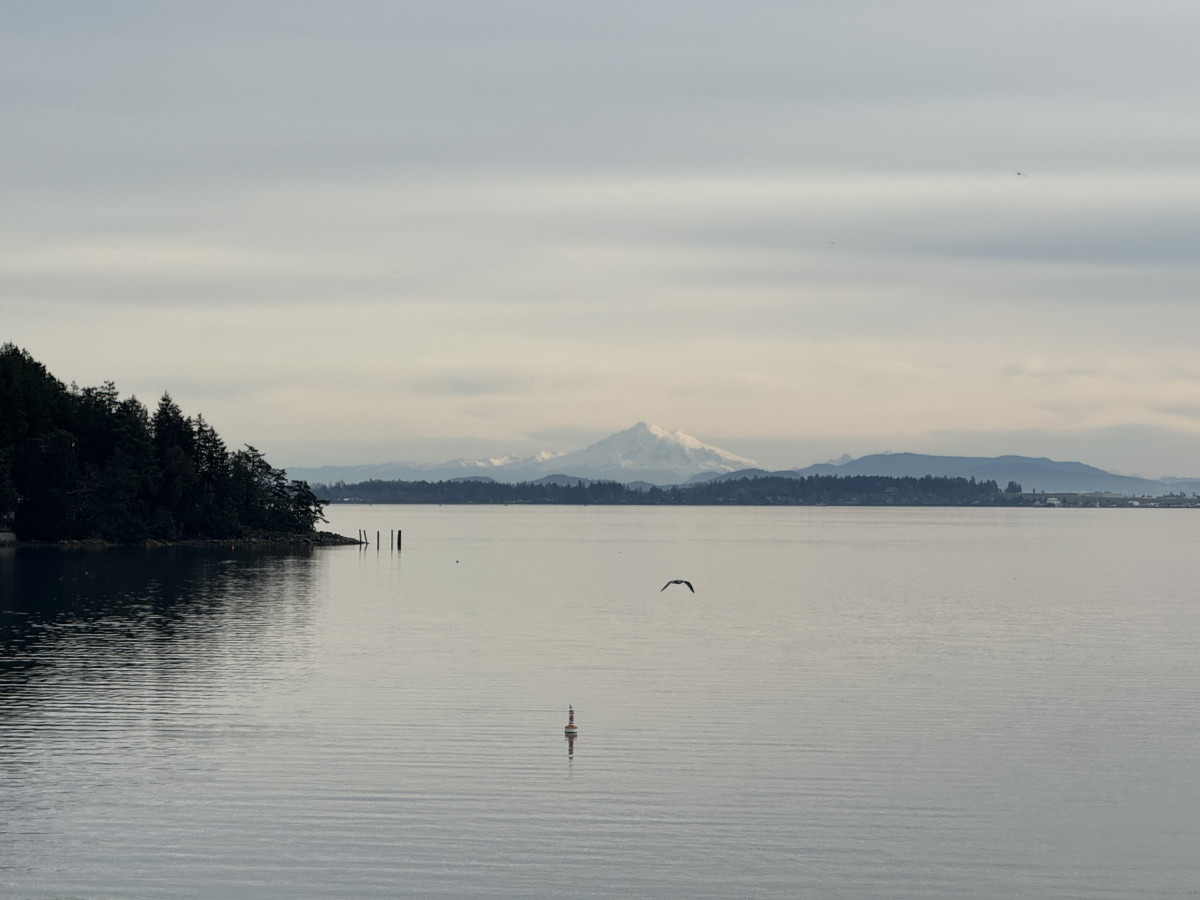 Landschaftsaufnahme von Brentwood College School aus mit Blick auf das Meer und die Berge